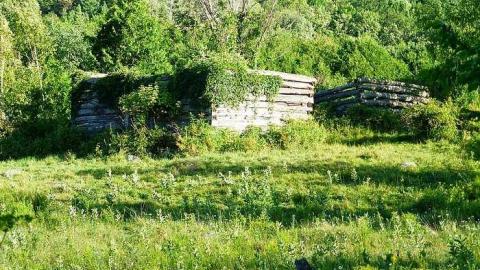 Overgrown - Newfoundout-(ghost-town)86.jpg