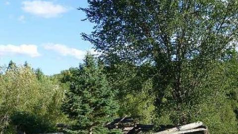 Overgrown - Newfoundout-(ghost-town)82.jpg