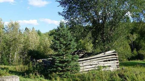 Overgrown - Newfoundout-(ghost-town)87.jpg