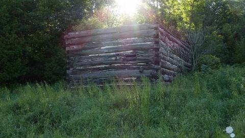 Overgrown - Newfoundout-(ghost-town)83.jpg