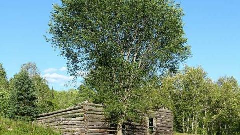 Overgrown - Newfoundout-(ghost-town)88.jpg