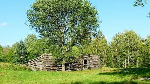 Overgrown - Newfoundout-(ghost-town)89.jpg