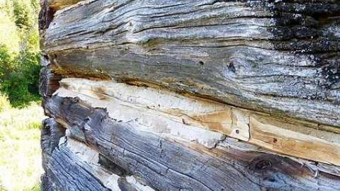 Two Farms of Esmonde - Opeongo-Road-Ghost-Towns99.jpg