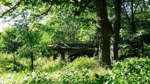 Two Farms of Esmonde - Opeongo-Road-Ghost-Towns82.jpg