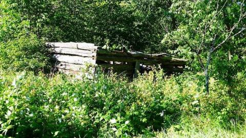 Two Farms of Esmonde - Opeongo-Road-Ghost-Towns100.jpg