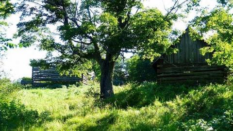 Two Farms of Esmonde - Opeongo-Road-Ghost-Towns84.jpg