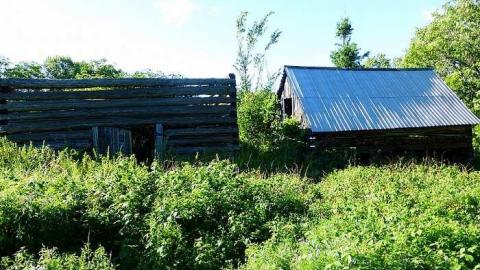Two Farms of Esmonde - Opeongo-Road-Ghost-Towns104.jpg