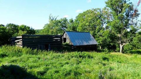 Photo from Two Farms of Esmonde