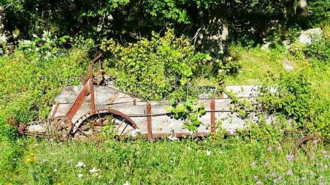 Two Farms of Esmonde - Opeongo-Road-Ghost-Towns106.jpg