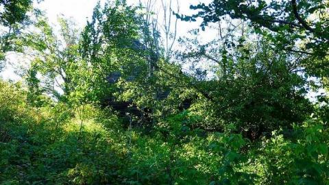 Two Farms of Esmonde - Opeongo-Road-Ghost-Towns110.jpg