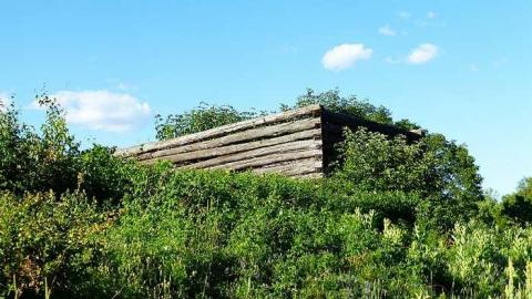 Two Farms of Esmonde - Opeongo-Road-Ghost-Towns111.jpg