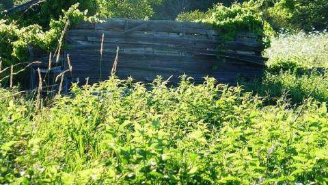 Two Farms of Esmonde - Opeongo-Road-Ghost-Towns95.jpg