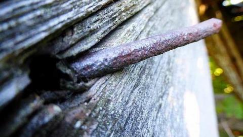 Two Farms of Esmonde - Opeongo-Road-Ghost-Towns96.jpg