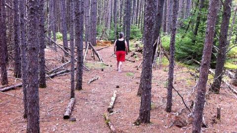 Highland Inn Ruins - Highland-Inn-Remains7.jpg