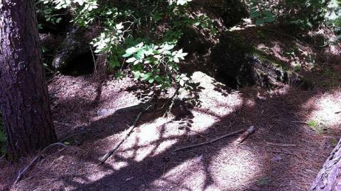 Highland Inn Ruins - Highland-Inn-Remains2.jpg