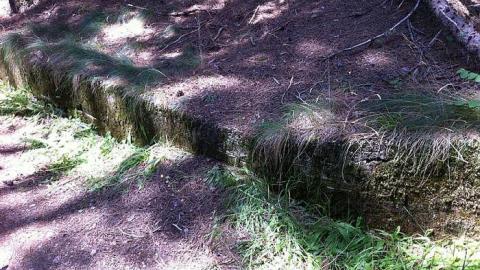 Highland Inn Ruins - Highland-Inn-Remains4.jpg