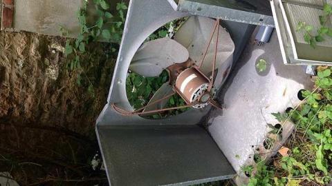 August 3 2015  - Branningham-Grove40.jpg