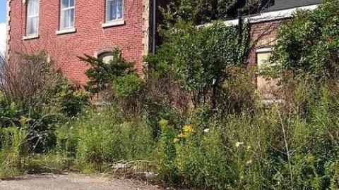 August 3 2015  - Branningham-Grove49.jpg