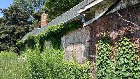 Photo from August 3 2015 