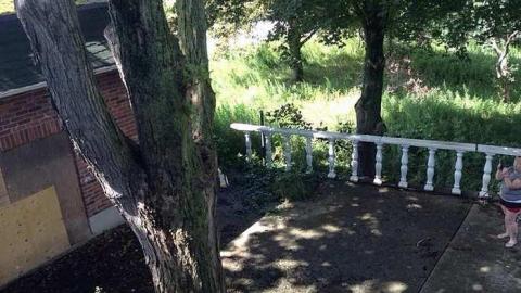 August 3 2015  - Branningham-Grove44.jpg