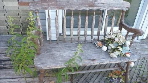 August 5th 2015 - 3_00019.jpg