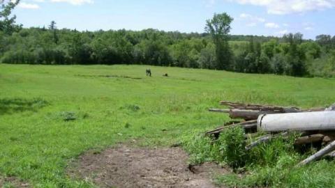 Vroom Vroom - Vroomanton-(ghost-town)19.jpg