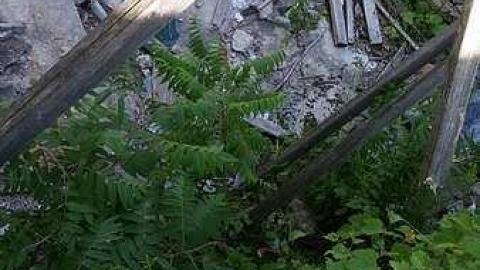 Kiddie Kar Factory 2015 - Kiddie-Kar-Factory72.jpg