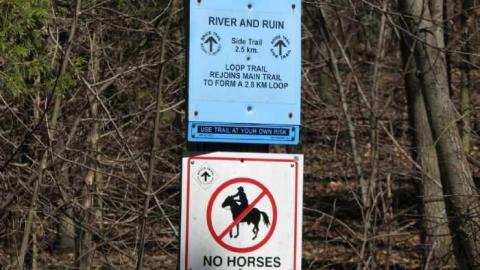 Photo from River & Ruin April 2011