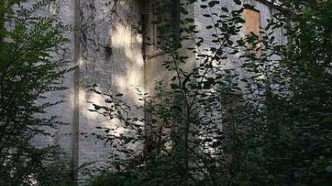 Forgotten Beauty - Fanshawe-Beauty72.jpg