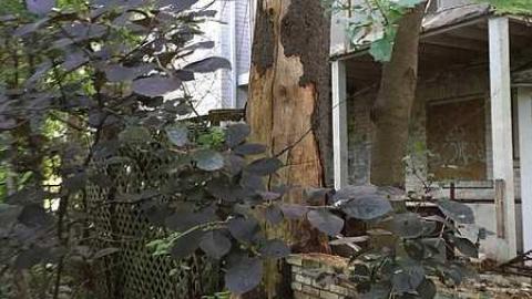 Photo from Forgotten Beauty