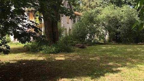 Forgotten Beauty - Fanshawe-Beauty90.jpg