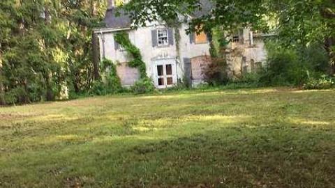 Forgotten Beauty - Fanshawe-Beauty91.jpg