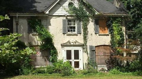 Forgotten Beauty - Fanshawe-Beauty92.jpg