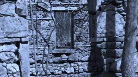 Photo from River & Ruin April 2011