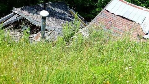 Rock Hill Park - Old-Camp-near-Whitfield5.jpg