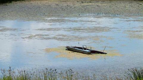 Rock Hill Park - Old-Camp-near-Whitfield6.jpg