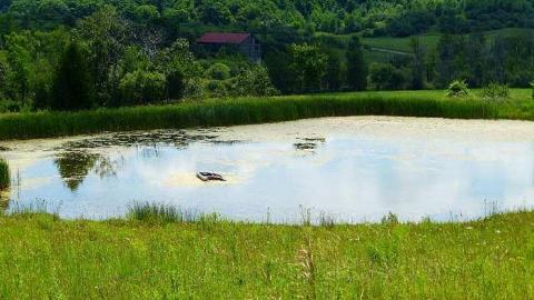Rock Hill Park - Old-Camp-near-Whitfield44.jpg