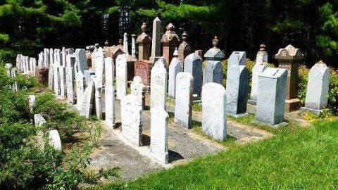 Photo from Whitfield