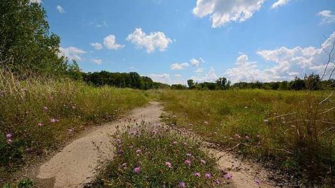 Aug.2015 - Long-Branch-Arsenal-Lands68.jpg