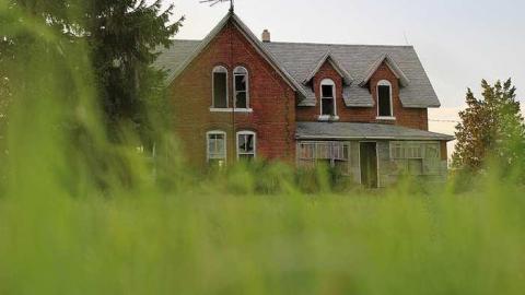 august 2015 - IMG_0837.jpg