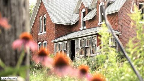 august 2015 - IMG_0841.jpg