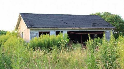 august 2015 - IMG_0848.jpg