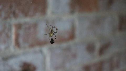 august 2015 - IMG_0855.jpg