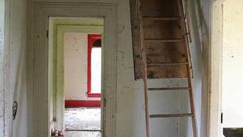 august 2015 - IMG_0865.jpg