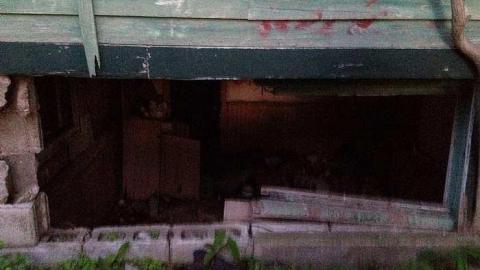 summer 2014 - Big-Green57.jpg