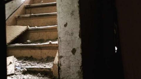 We all fall down - dhimage.jpg