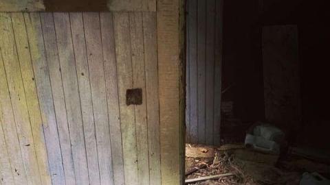 We all fall down - caimage.jpg