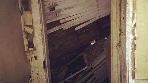 We all fall down - jyimage.jpg