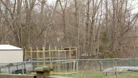 Cannibalized Locations - Cannibal-Girls-Hazelburn6.jpg