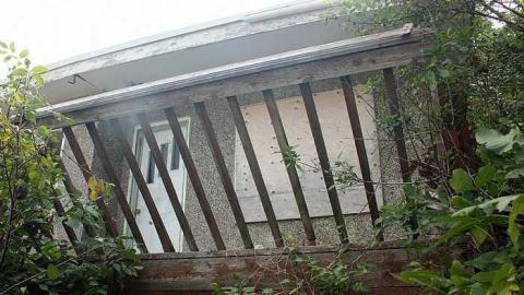 Aug 2015 - Owl-Questions13.jpg